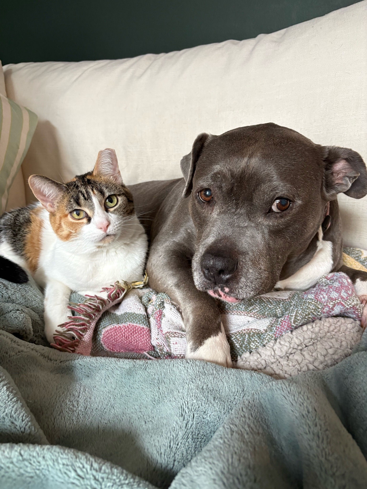 Cali and Lila on the couch :)