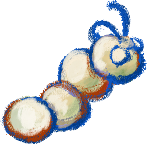 Caterpillar